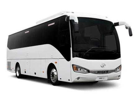 M-Deluxe Bus