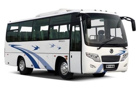 Deluxe Mini Bus